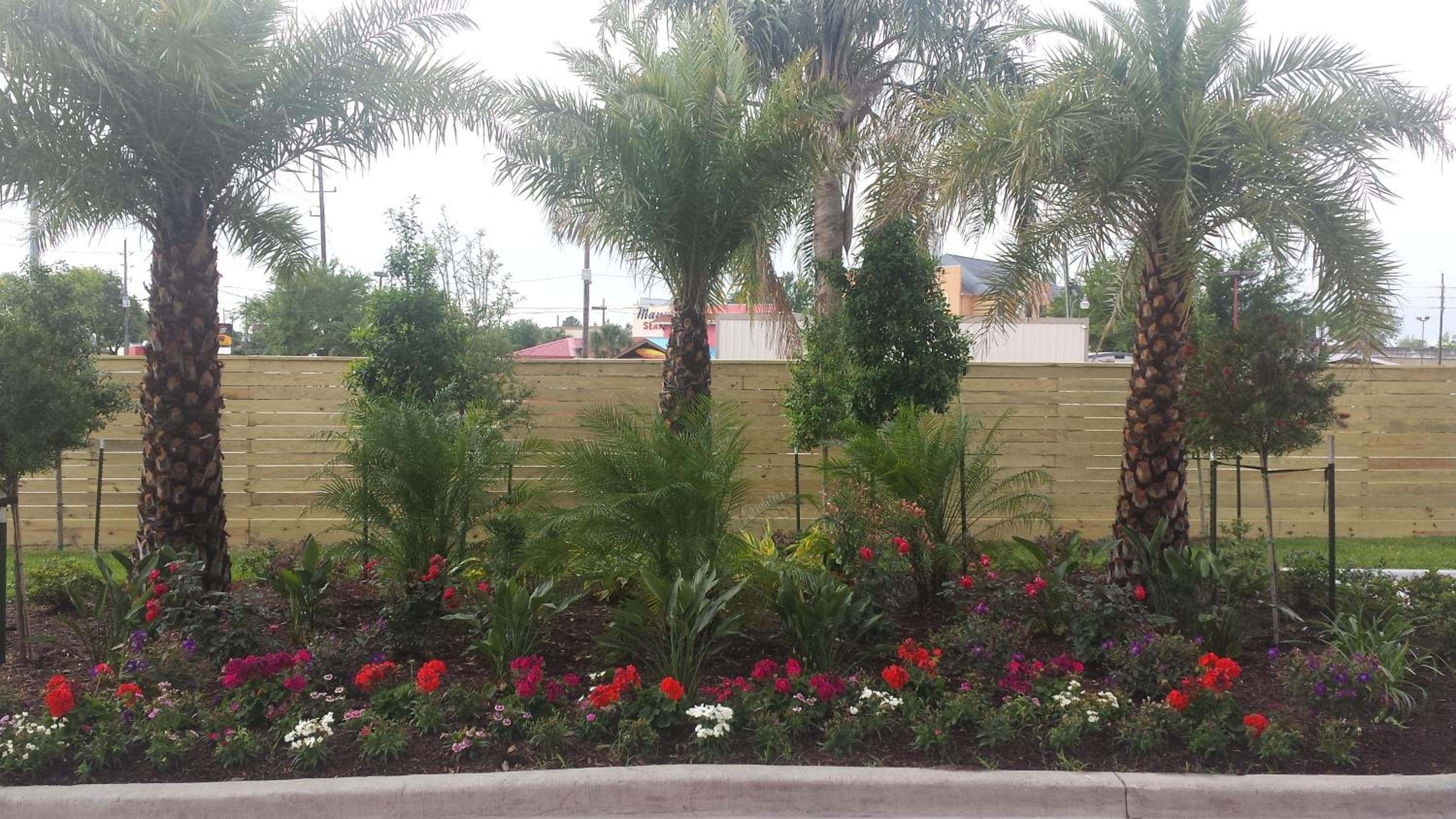 Palace Inn 290 & Jones Rd