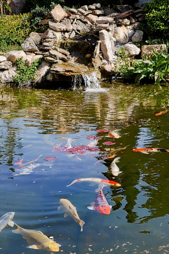 Hôtel des Grands Vins