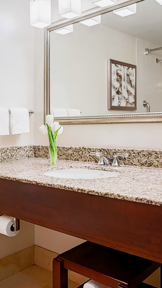 Renaissance Newark Airport Hotel