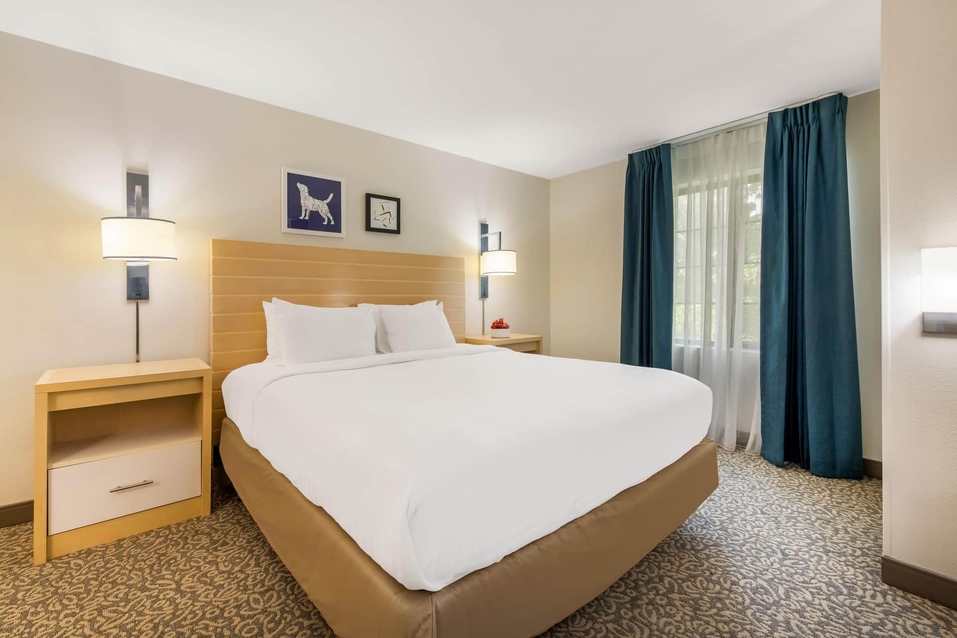 Sonesta ES Suites Charlotte Arrowood