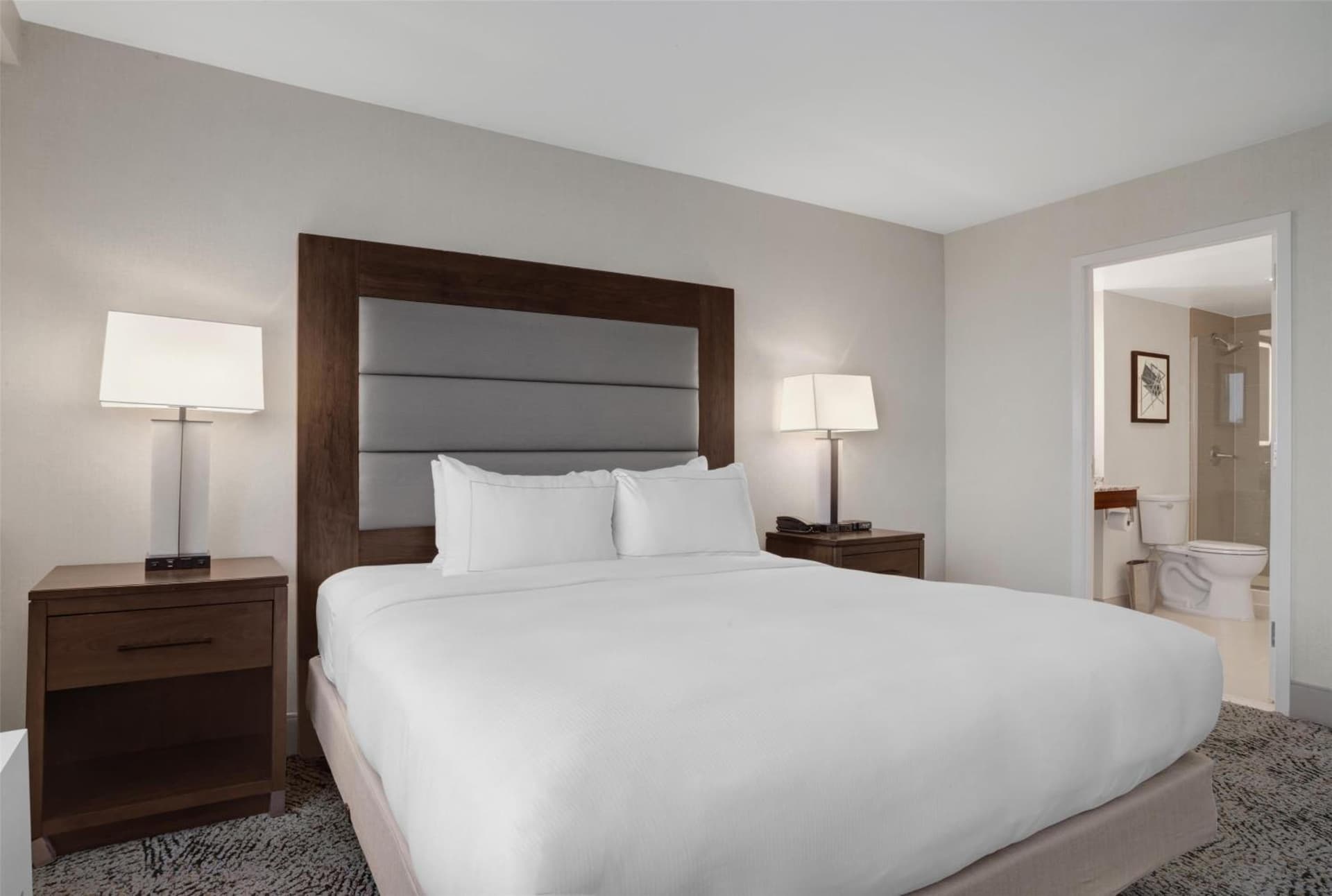 Hilton Arlington National Landing