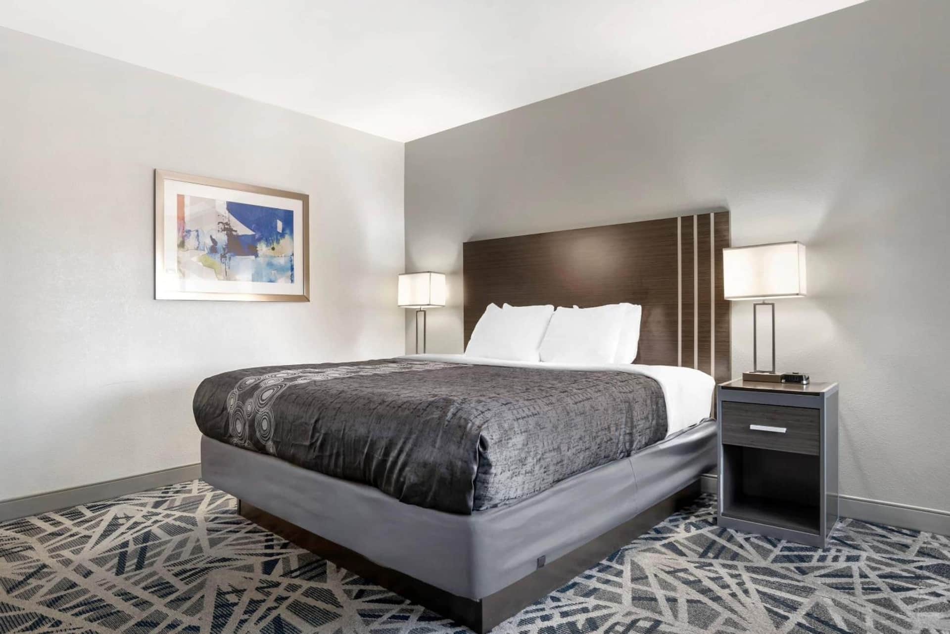 Country Inn & Suites by Radisson, Montgomery East I-85