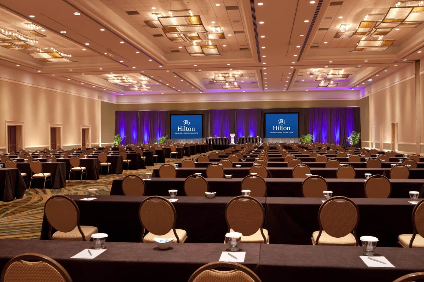 Hilton Orlando Lake Buena Vista - Disney Springs® Area