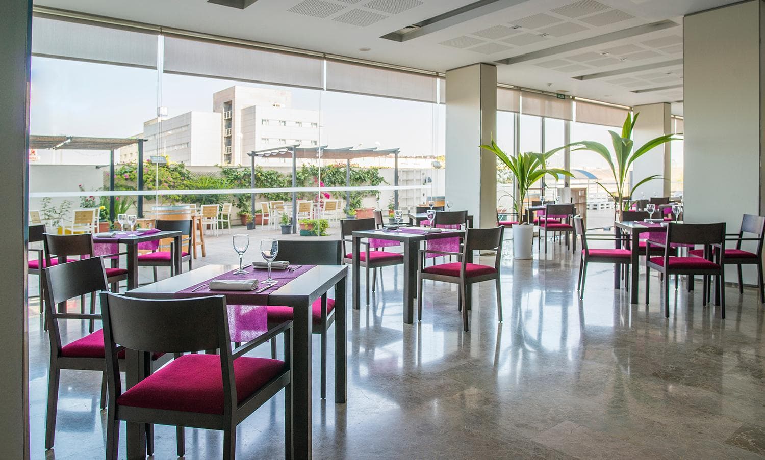 Xon's Valencia